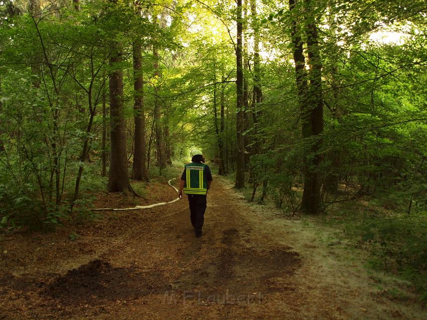 Waldbrand Bergisch Gladbach Bensberg P193.JPG